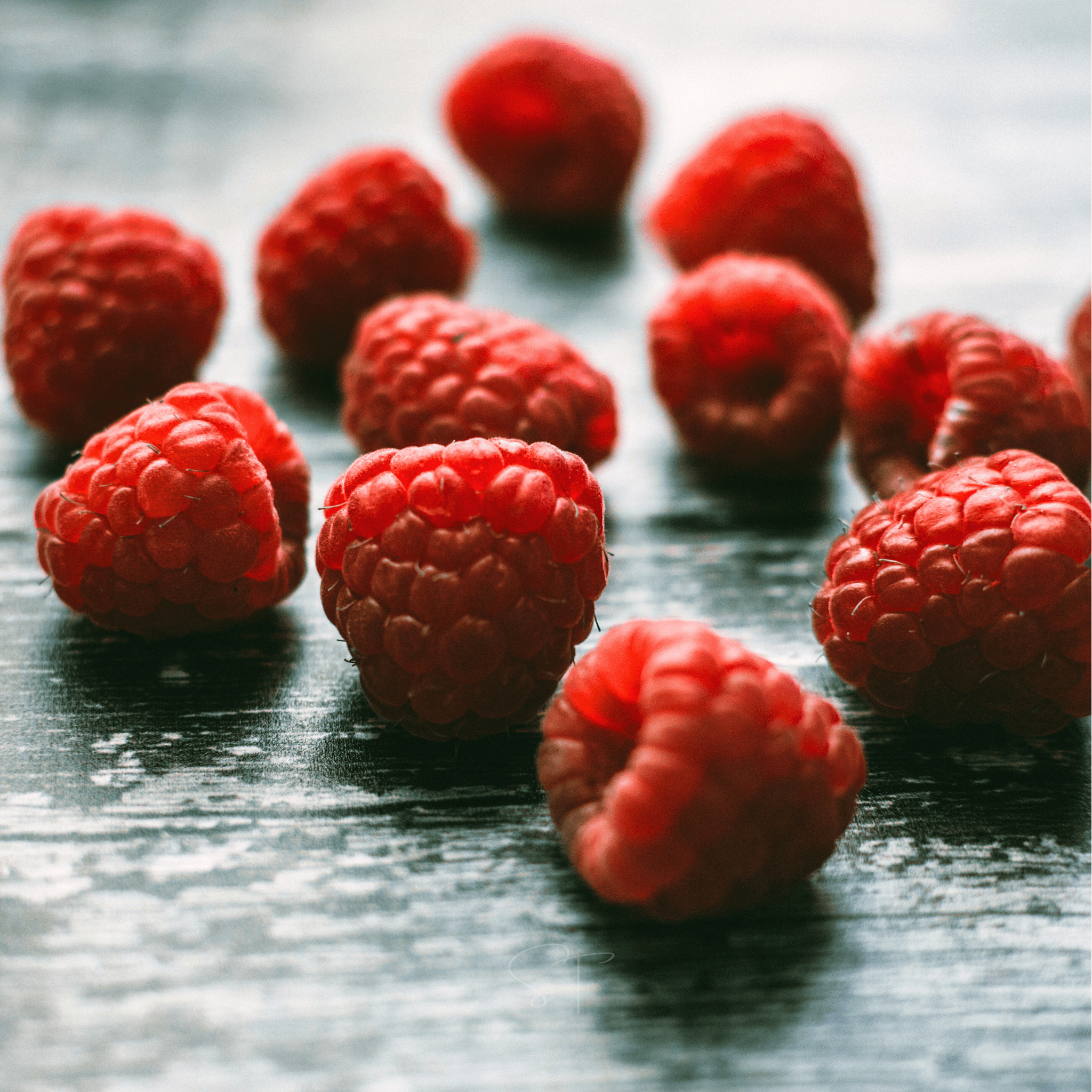 Red European Raspberry – 30 Seeds by Southern Seeds