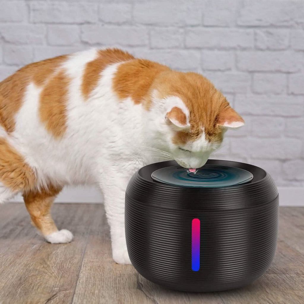 Smart Pet Drinking Fountain with LED Light 7-Pack Replaceable Water Filters by DailySale