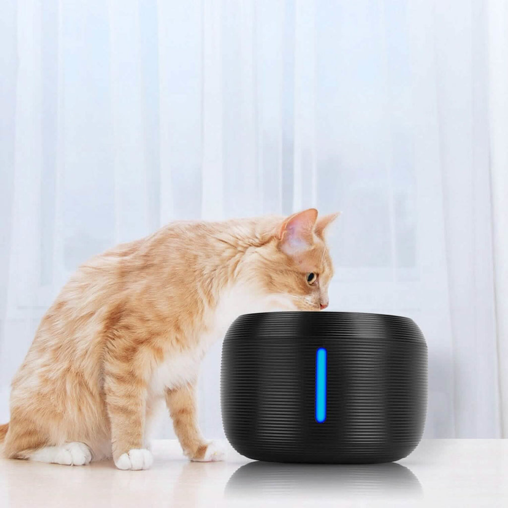 Smart Pet Drinking Fountain with LED Light 7-Pack Replaceable Water Filters by DailySale
