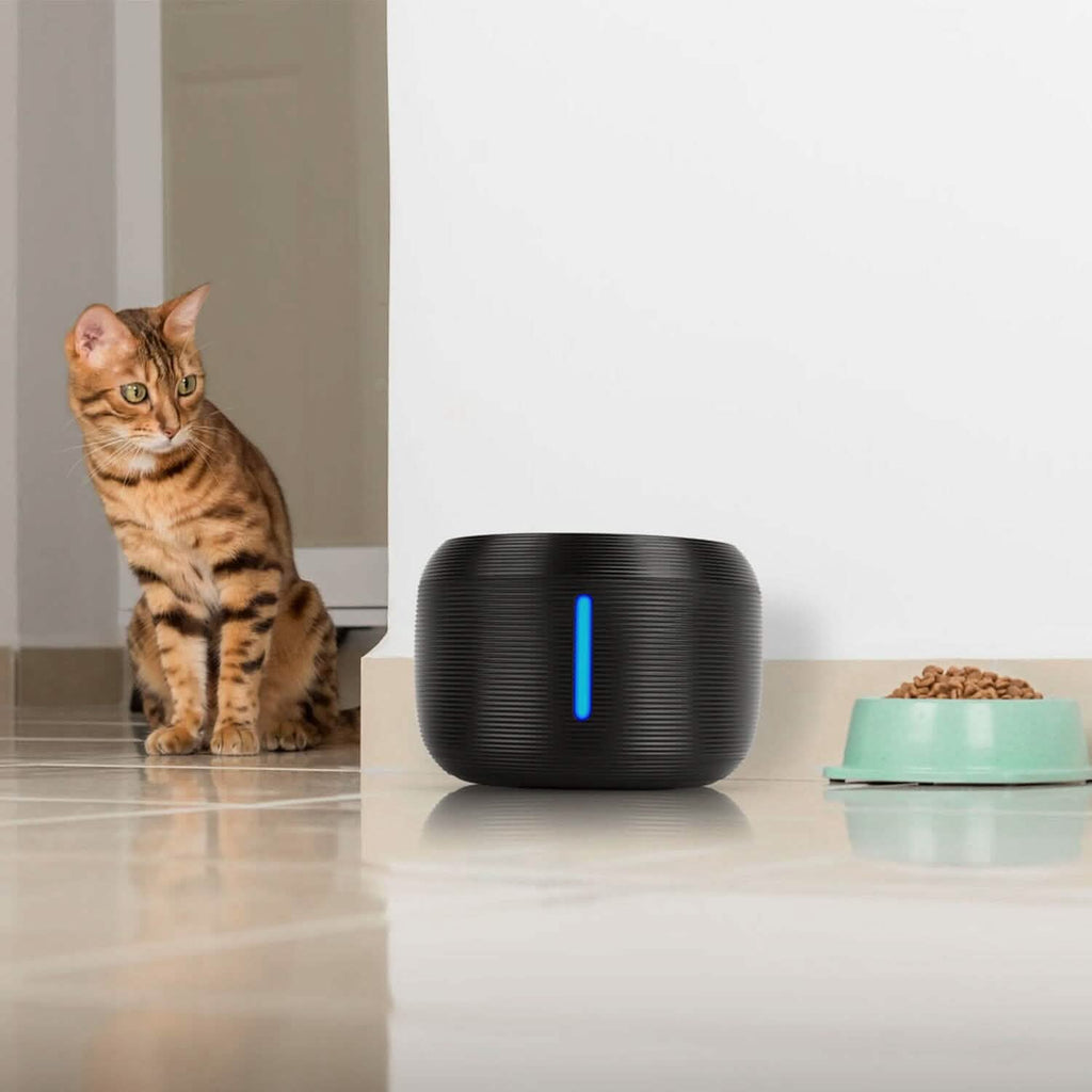 Smart Pet Drinking Fountain with LED Light 7-Pack Replaceable Water Filters by DailySale