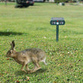Solar Powered Ultrasonic Animal Repeller by DailySale