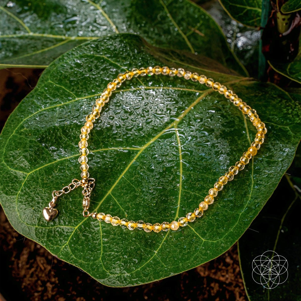 The Abundance Anklet by Conscious Items