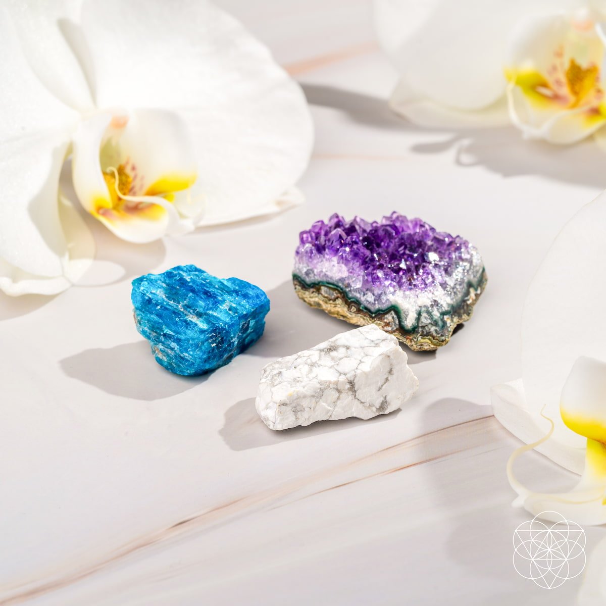 The Anxiety Trio by Conscious Items