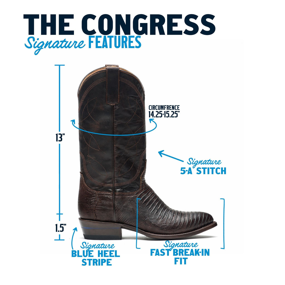 The Congress by Alvies