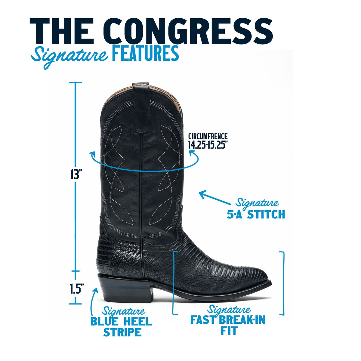 The Congress by Alvies