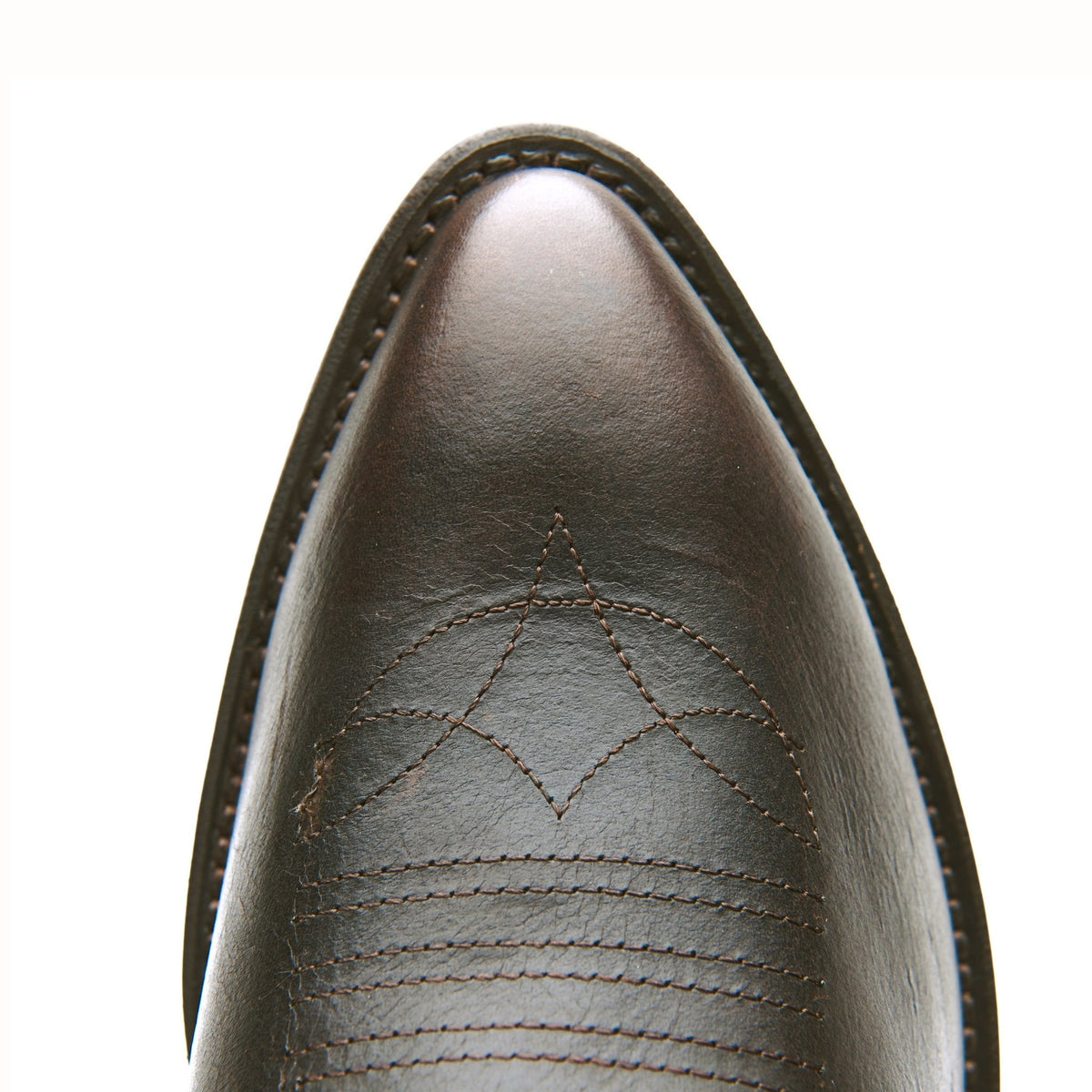 The Lamar by Alvies