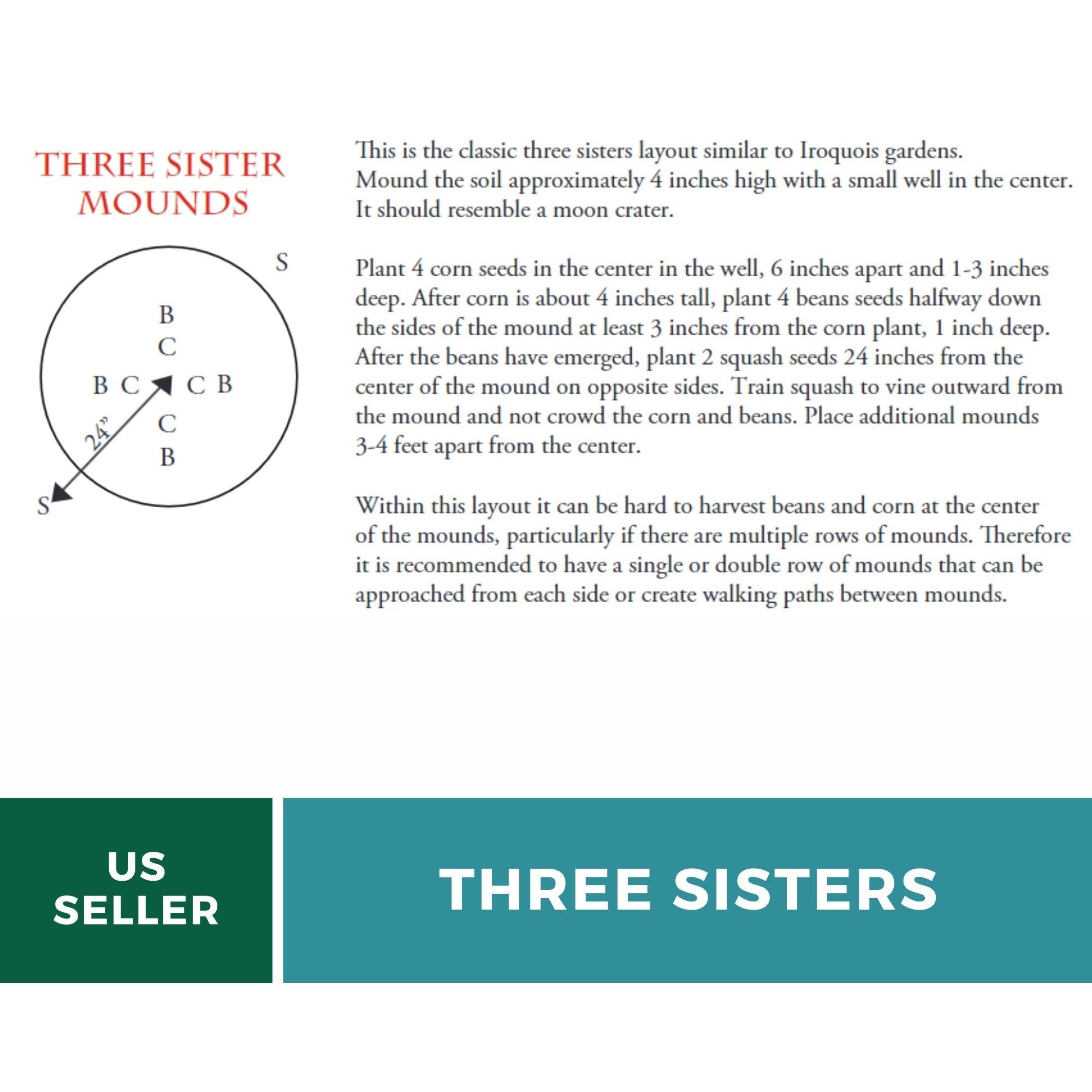 Three Sisters Seed Collection – Native American Farming – Corn, Bean, Squash by Southern Seeds