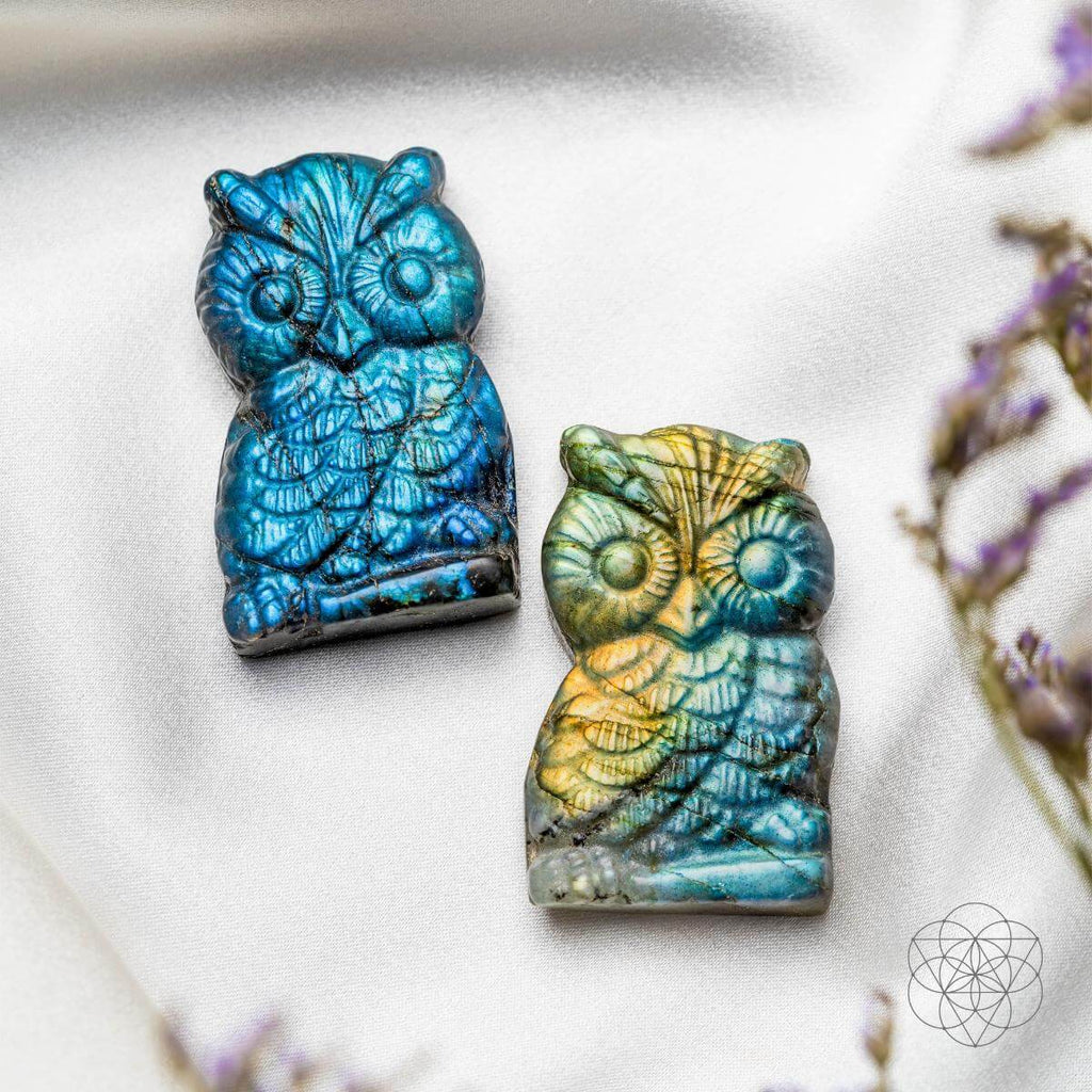 Token of Wisdom - Labradorite Owl Talisman by Conscious Items