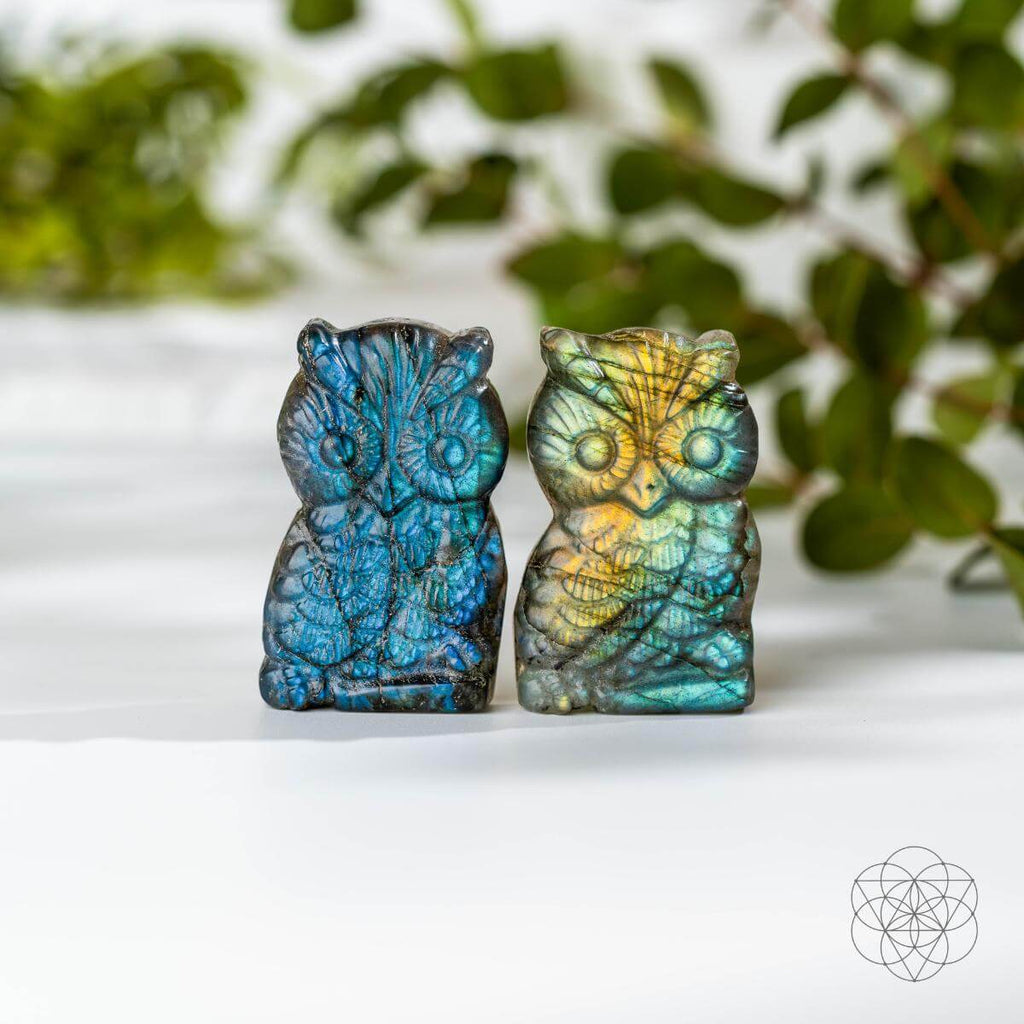 Token of Wisdom - Labradorite Owl Talisman by Conscious Items