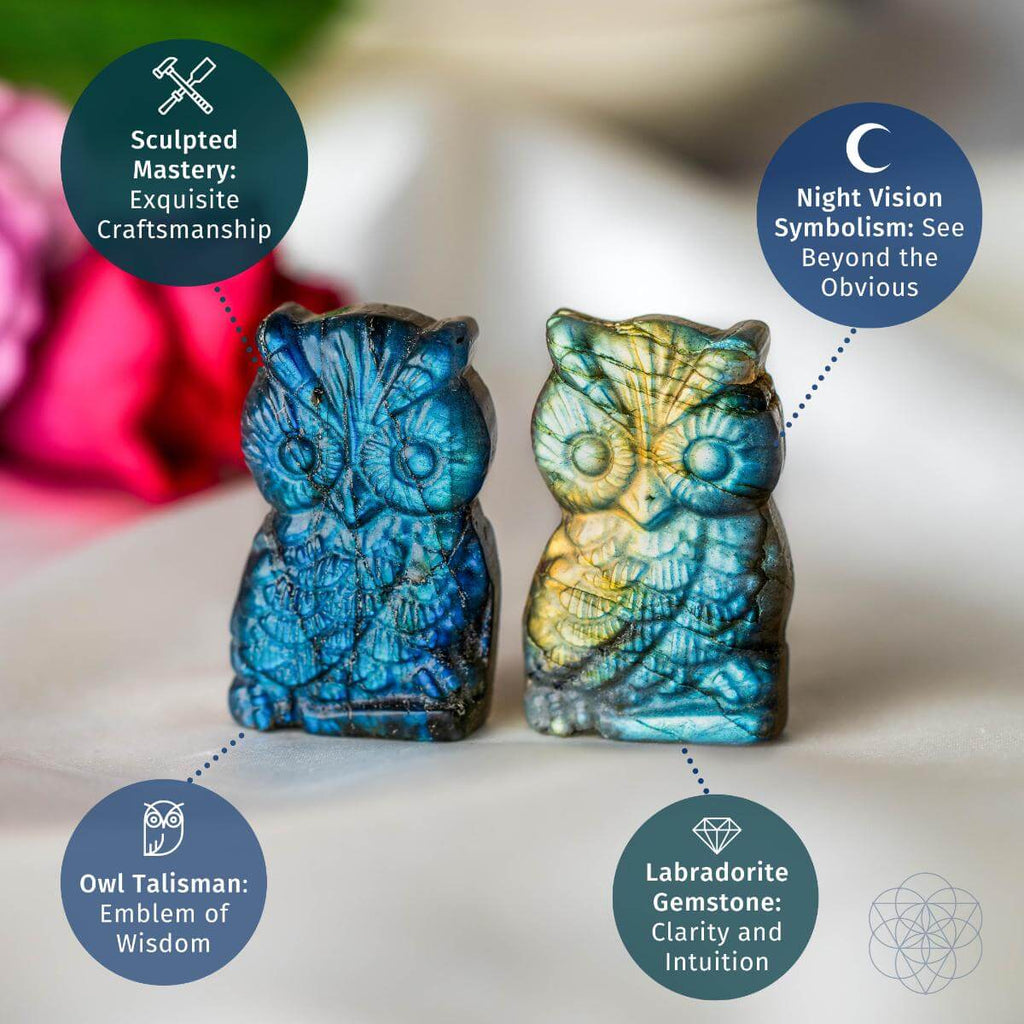 Token of Wisdom - Labradorite Owl Talisman by Conscious Items