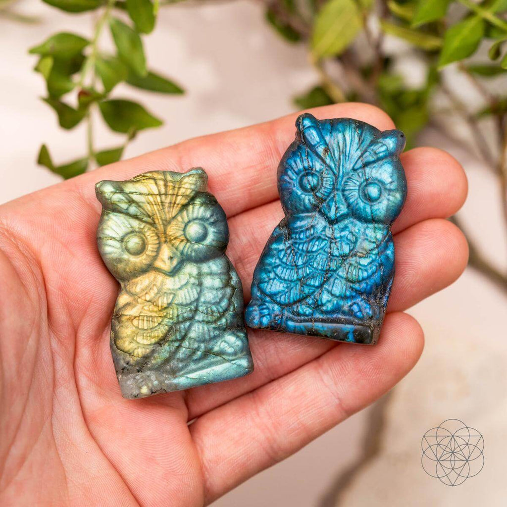 Token of Wisdom - Labradorite Owl Talisman by Conscious Items