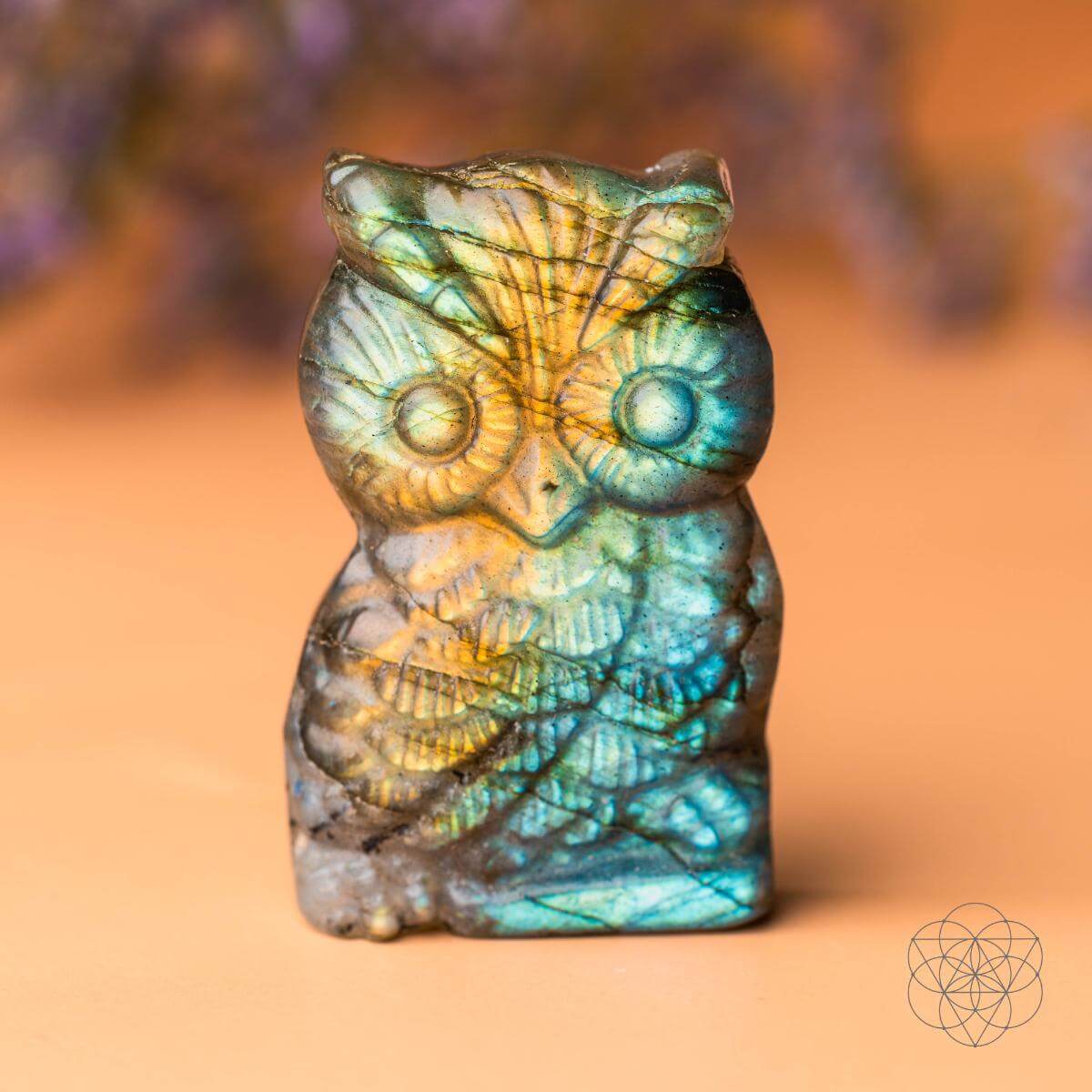 Token of Wisdom - Labradorite Owl Talisman by Conscious Items