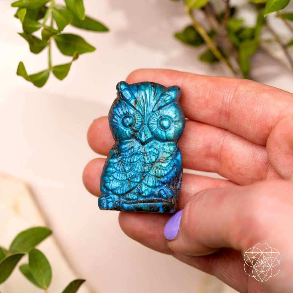 Token of Wisdom - Labradorite Owl Talisman by Conscious Items