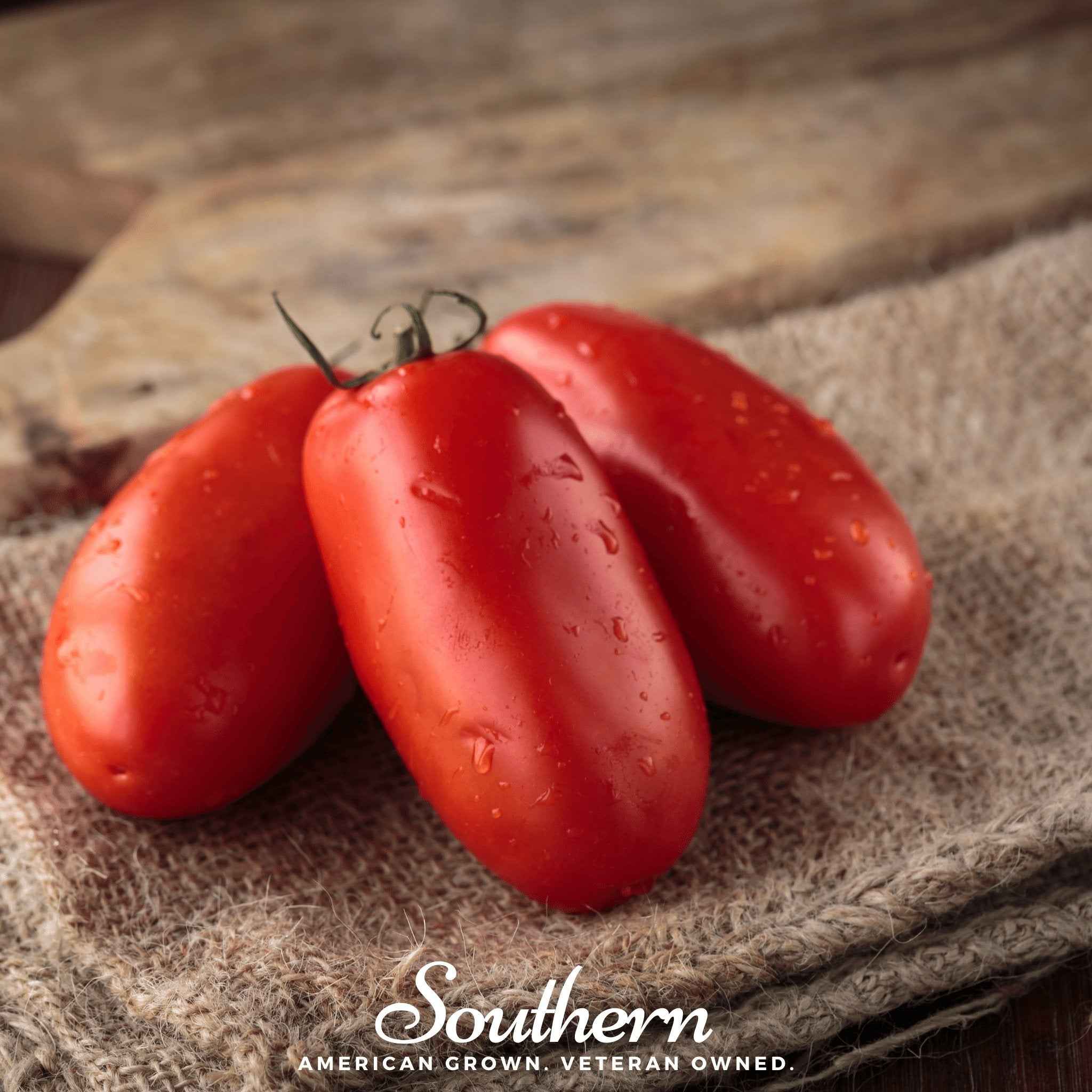 San Marzano Tomato – 50 Seeds by Southern Seeds