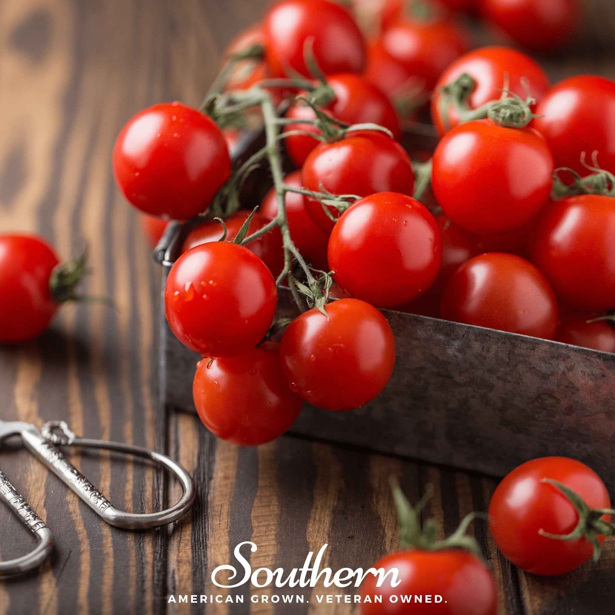 Small Red Cherry Tomato – 50 Seeds by Southern Seeds