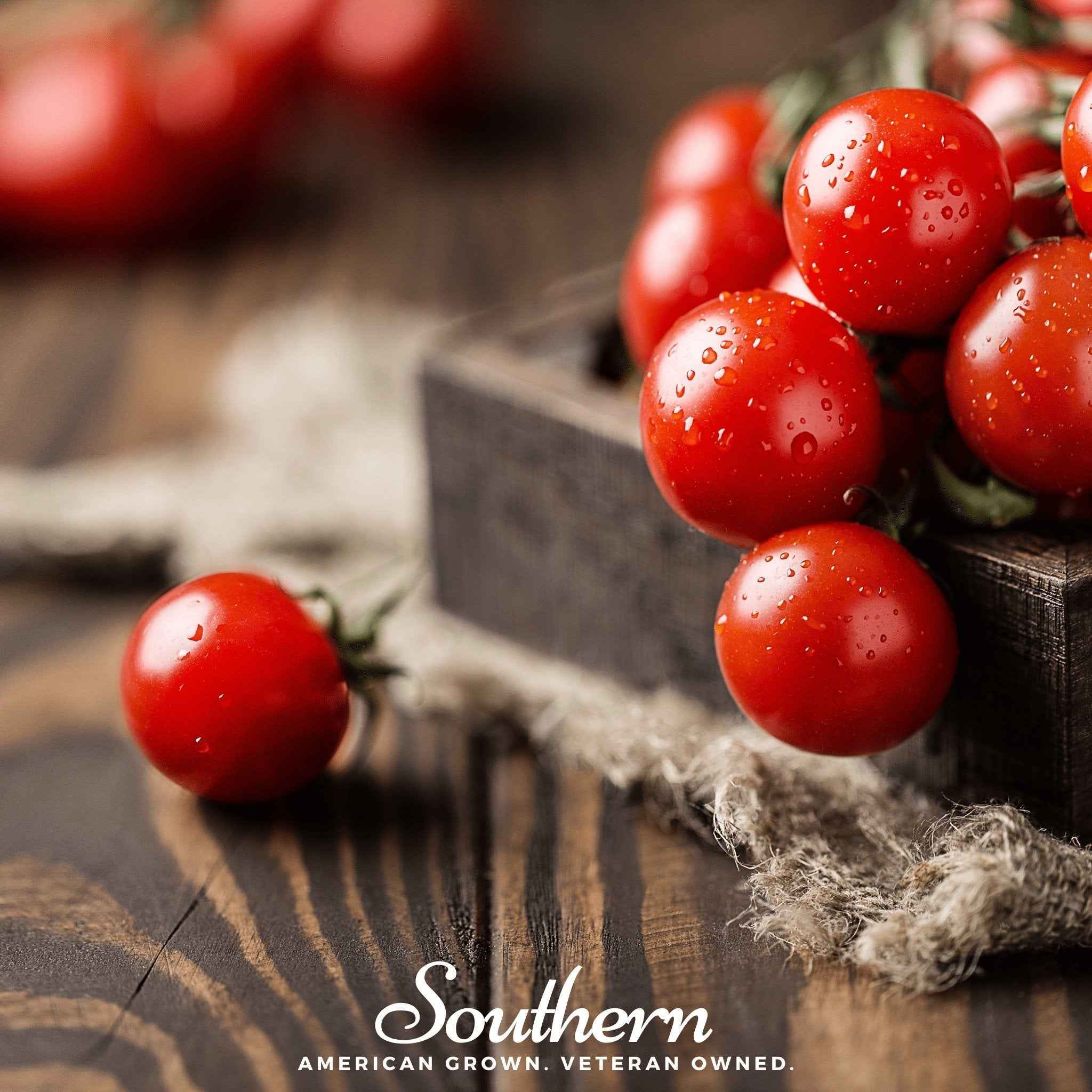 Small Red Cherry Tomato – 50 Seeds by Southern Seeds