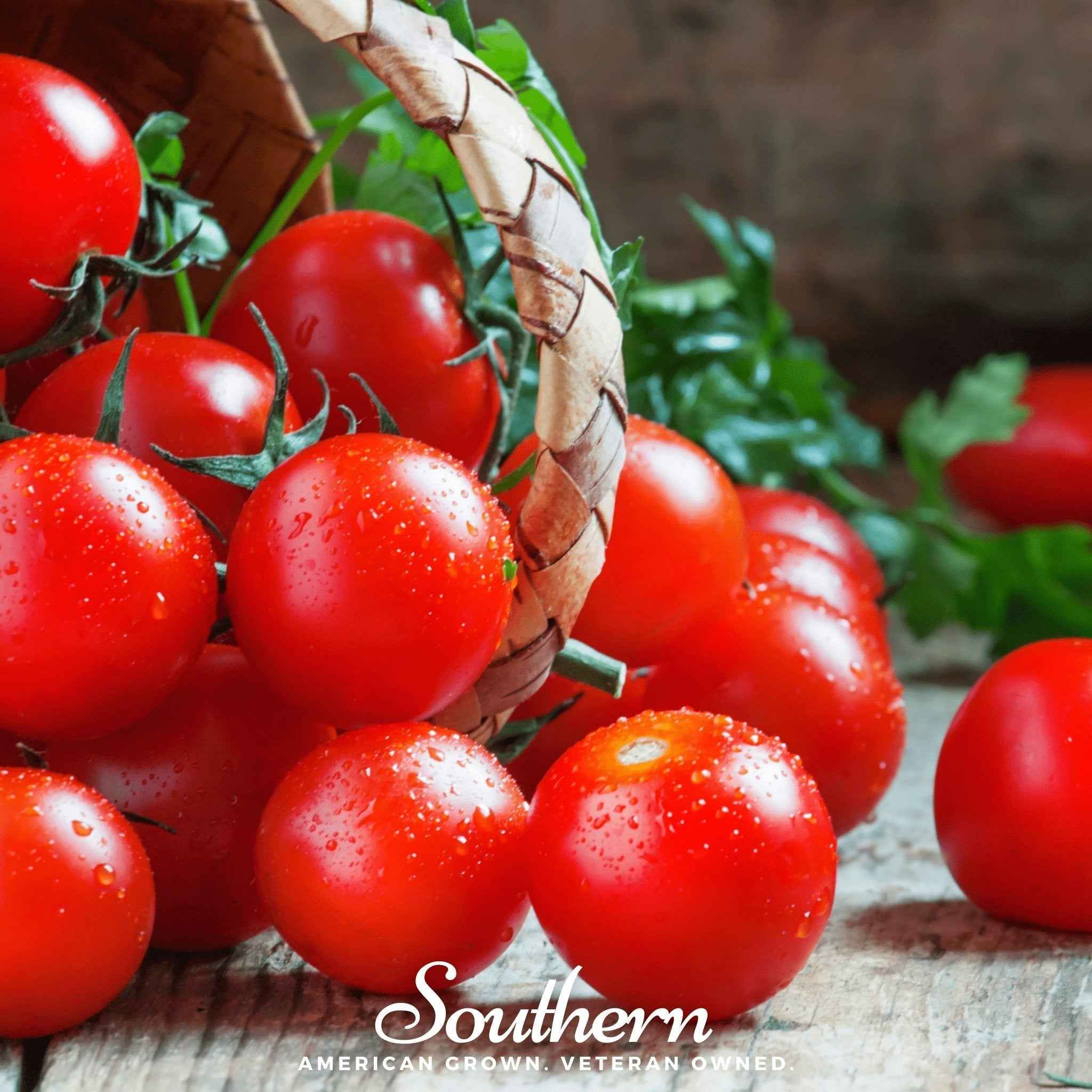 Small Red Cherry Tomato – 50 Seeds by Southern Seeds