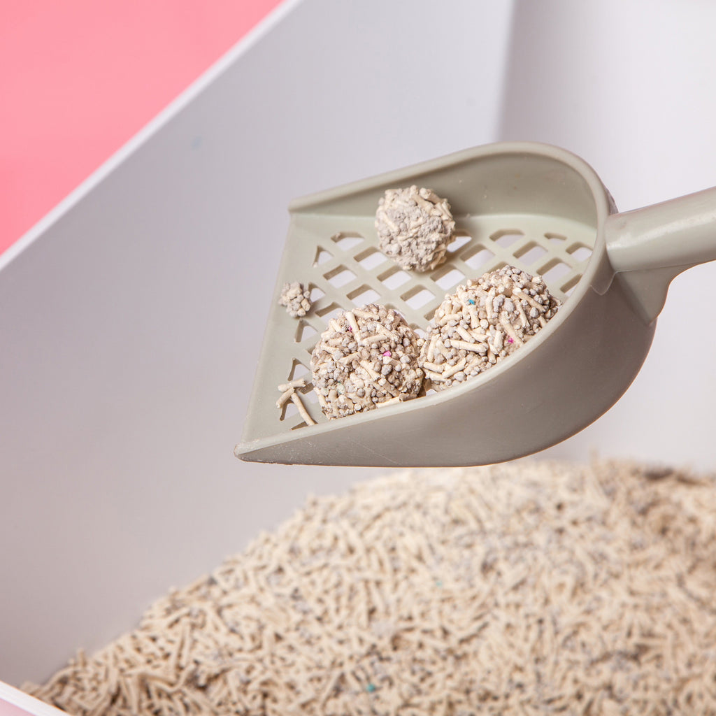 Touchcat 'Litter-ally Natural' Absorbant and Clumping Cat Litter w/ New Technology - w/ Active Carbon by Pet Life