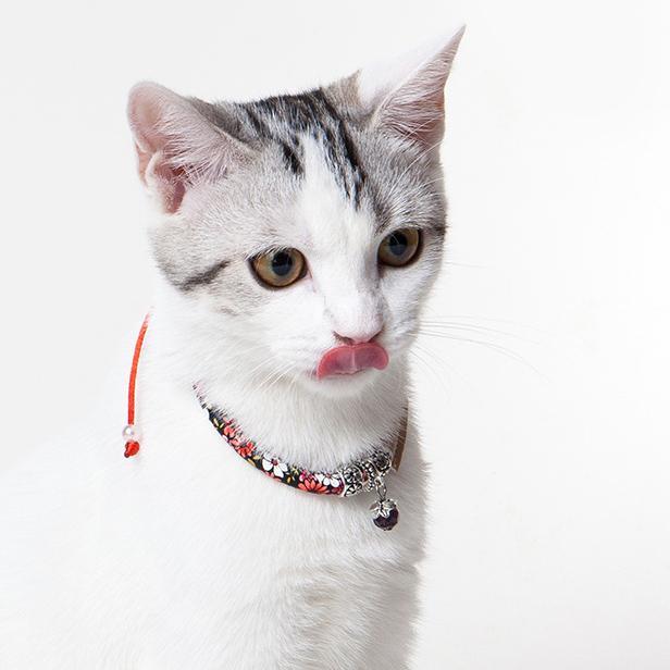 Touchcat Lucky Charms Designer Cable Necklace Cat Collar by Pet Life