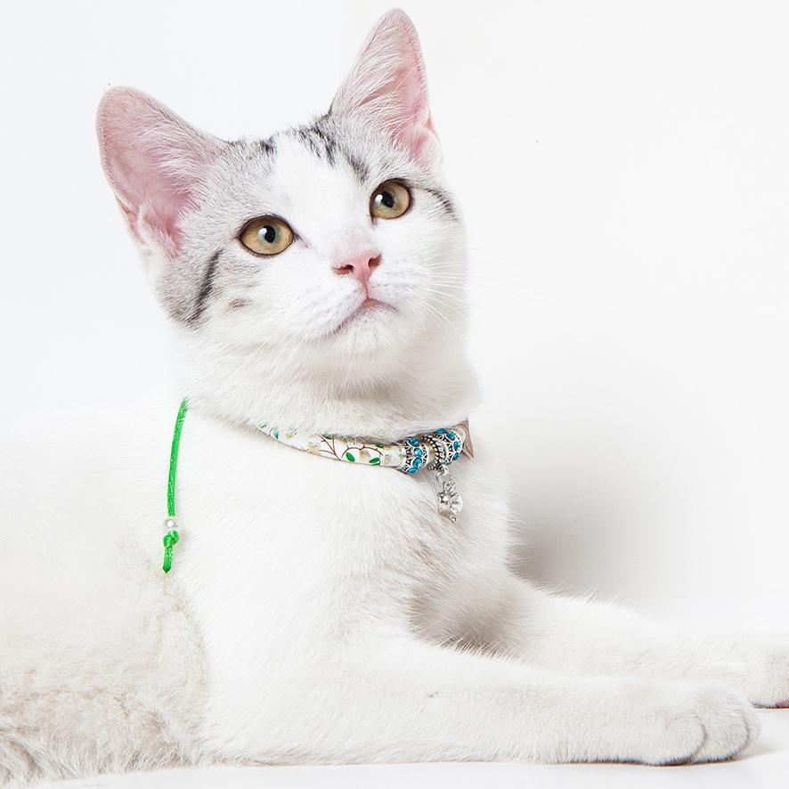Touchcat Lucky Charms Designer Cable Necklace Cat Collar by Pet Life
