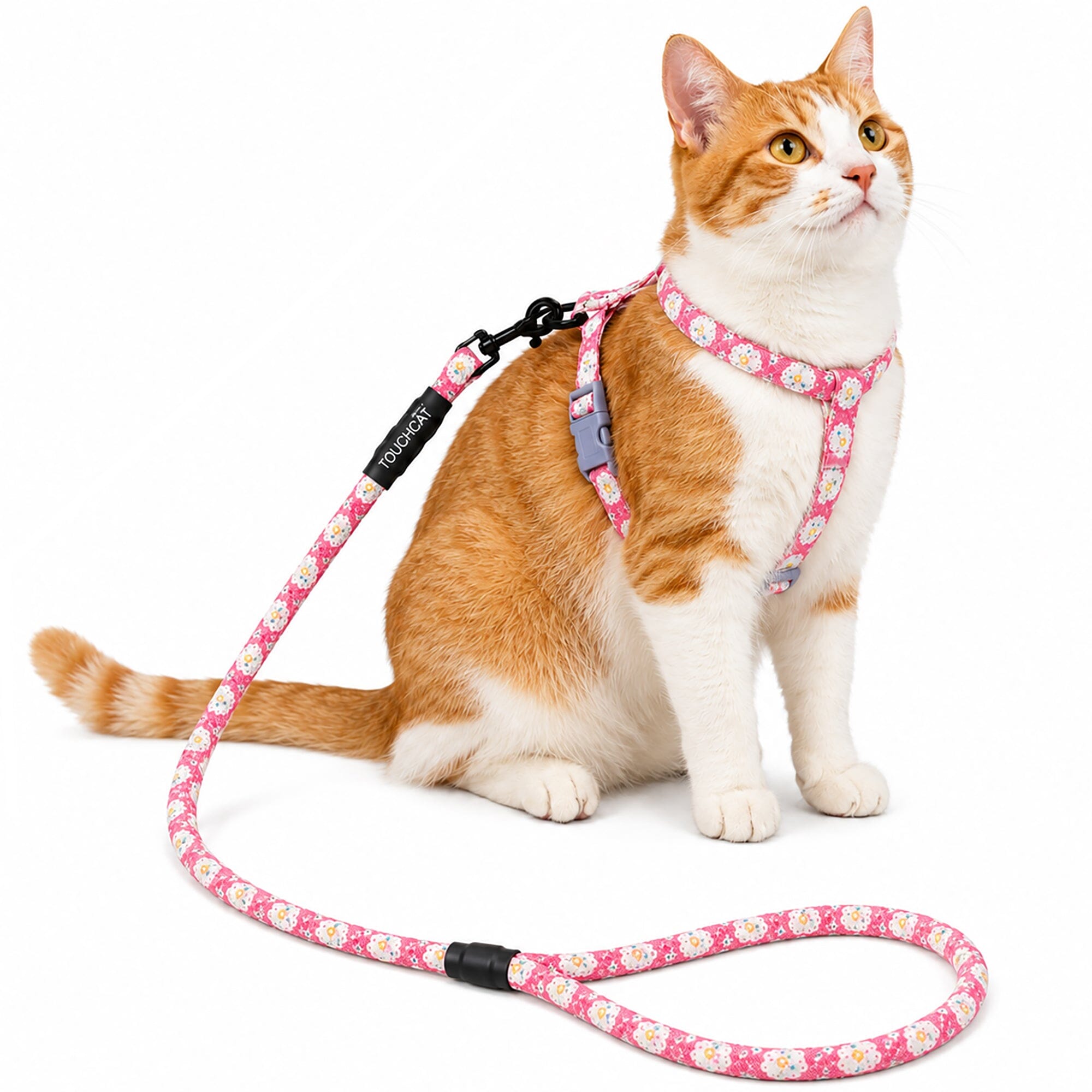 Touchcat 'Radi-Claw' Durable Cable Cat Harness and Leash Combo by Pet Life
