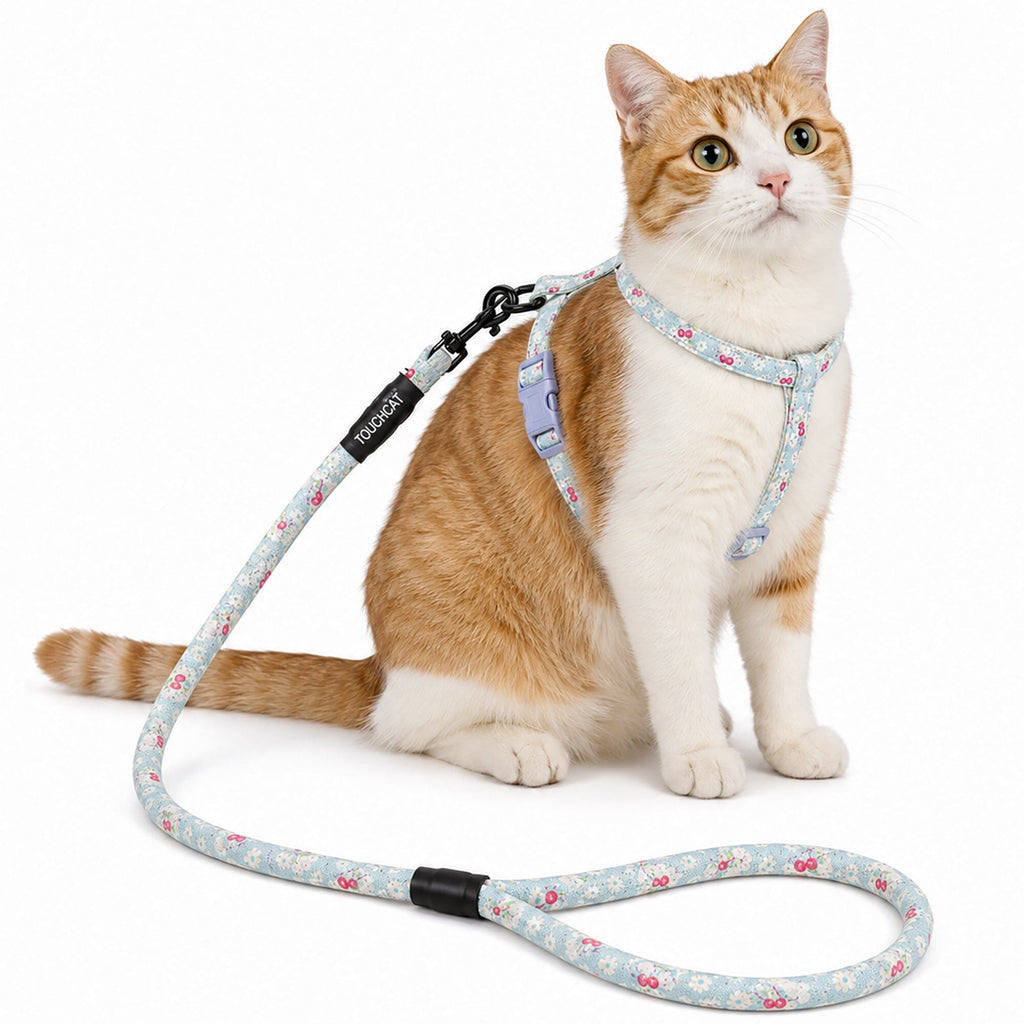 Touchcat 'Radi-Claw' Durable Cable Cat Harness and Leash Combo by Pet Life