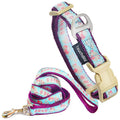 Touchdog 'Avery Patterned' Tough Stitched Embroidered Collar and Leash by Pet Life