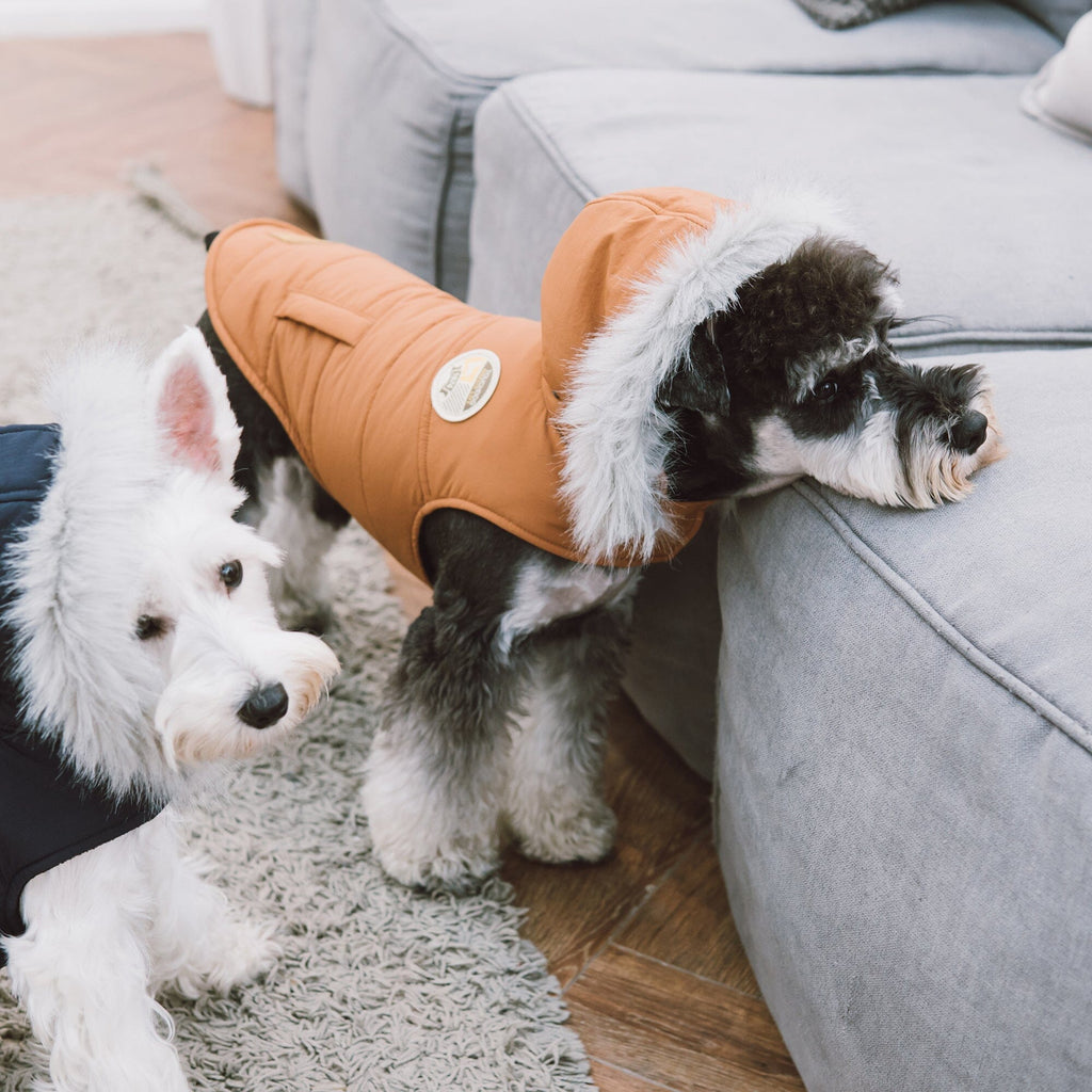 Touchdog 'Eskimo-Swag' Duck-Down Insulated Winter Dog Coat Parka by Pet Life