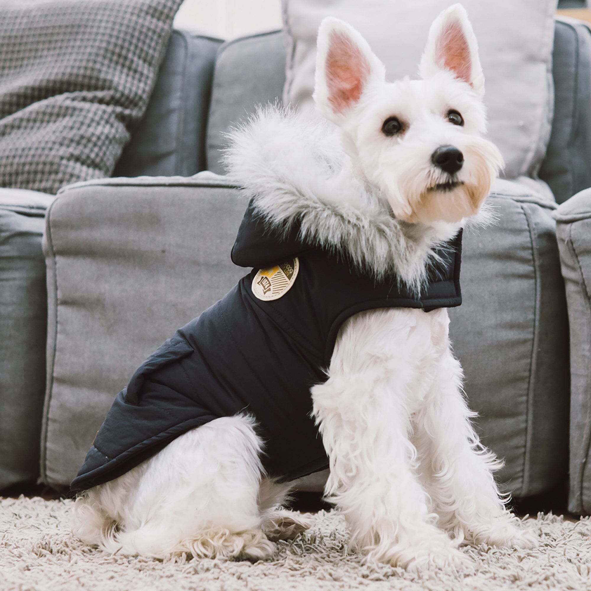 Touchdog 'Eskimo-Swag' Duck-Down Insulated Winter Dog Coat Parka by Pet Life