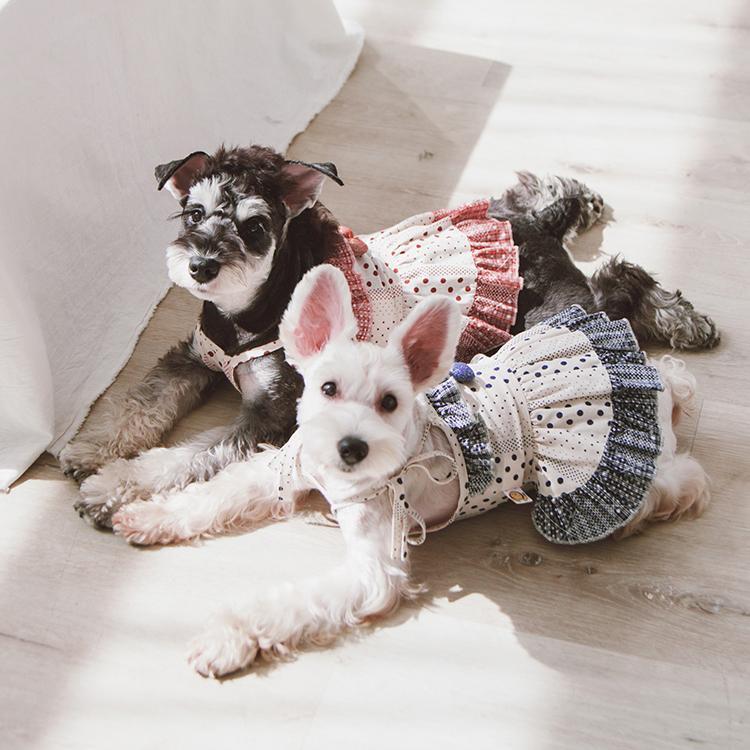 Touchdog Fetching Smock Designer Fashion Dog Dress by Pet Life