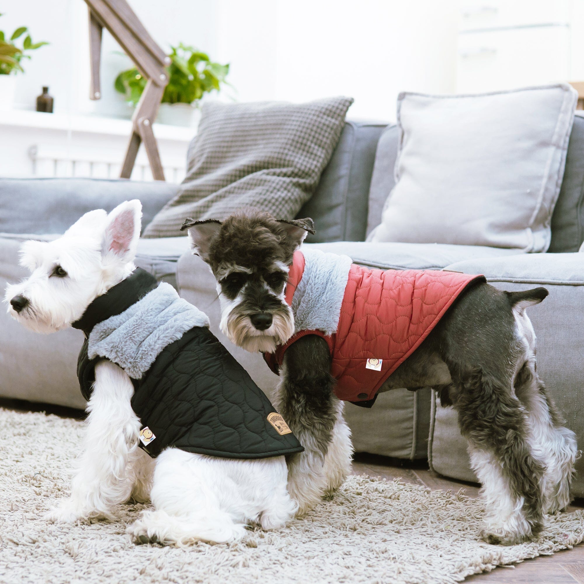 Touchdog 'Furrost-Bite' Fur and Fleece Designer Fashion Dog Jacket by Pet Life