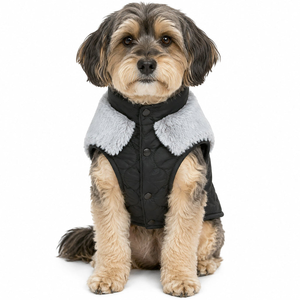 Touchdog 'Furrost-Bite' Fur and Fleece Designer Fashion Dog Jacket by Pet Life