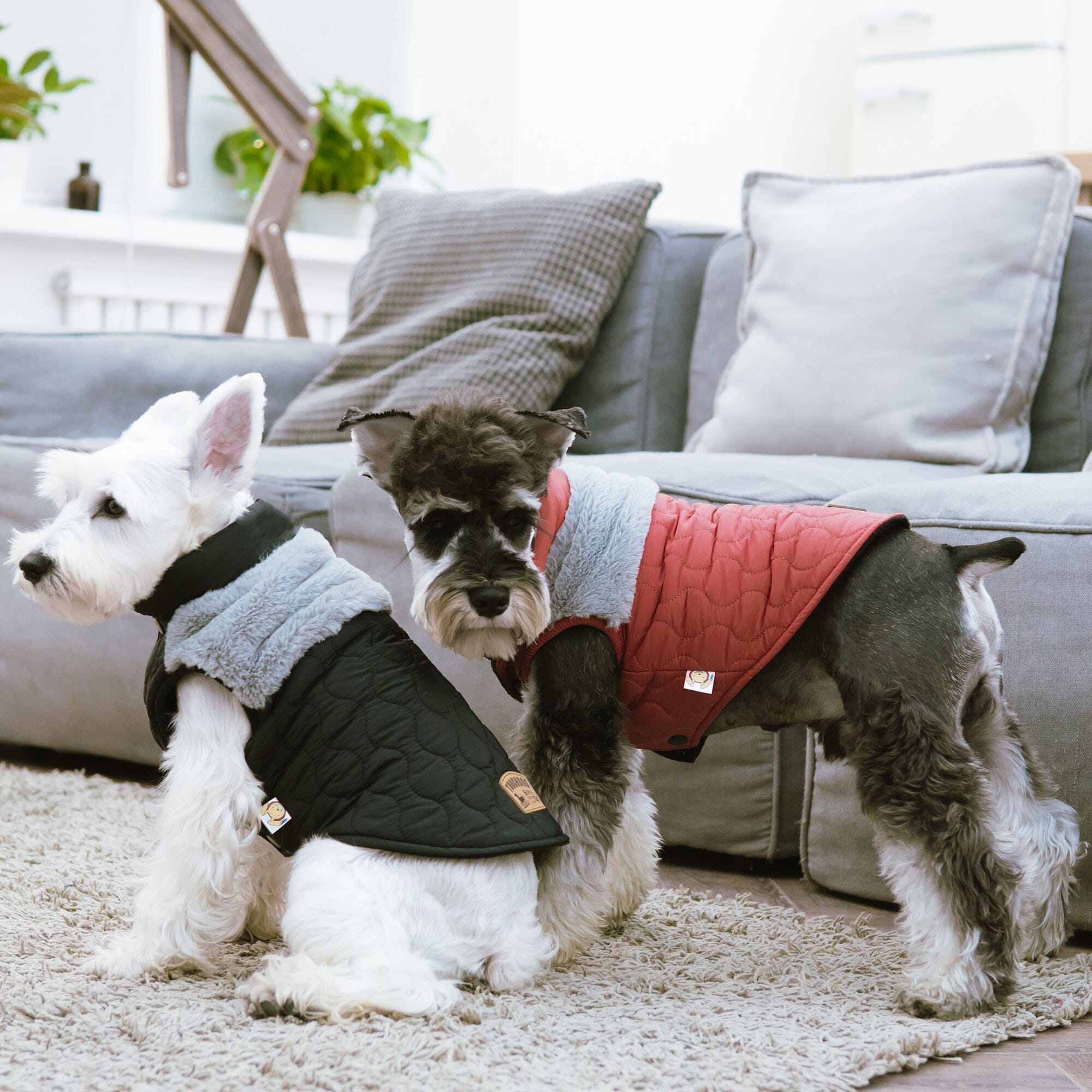 Touchdog 'Furrost-Bite' Fur and Fleece Designer Fashion Dog Jacket by Pet Life