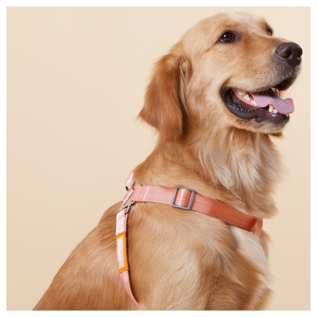 Touchdog ® 'Macaron' 2-in-1 Durable Nylon Dog Harness and Leash by Pet Life