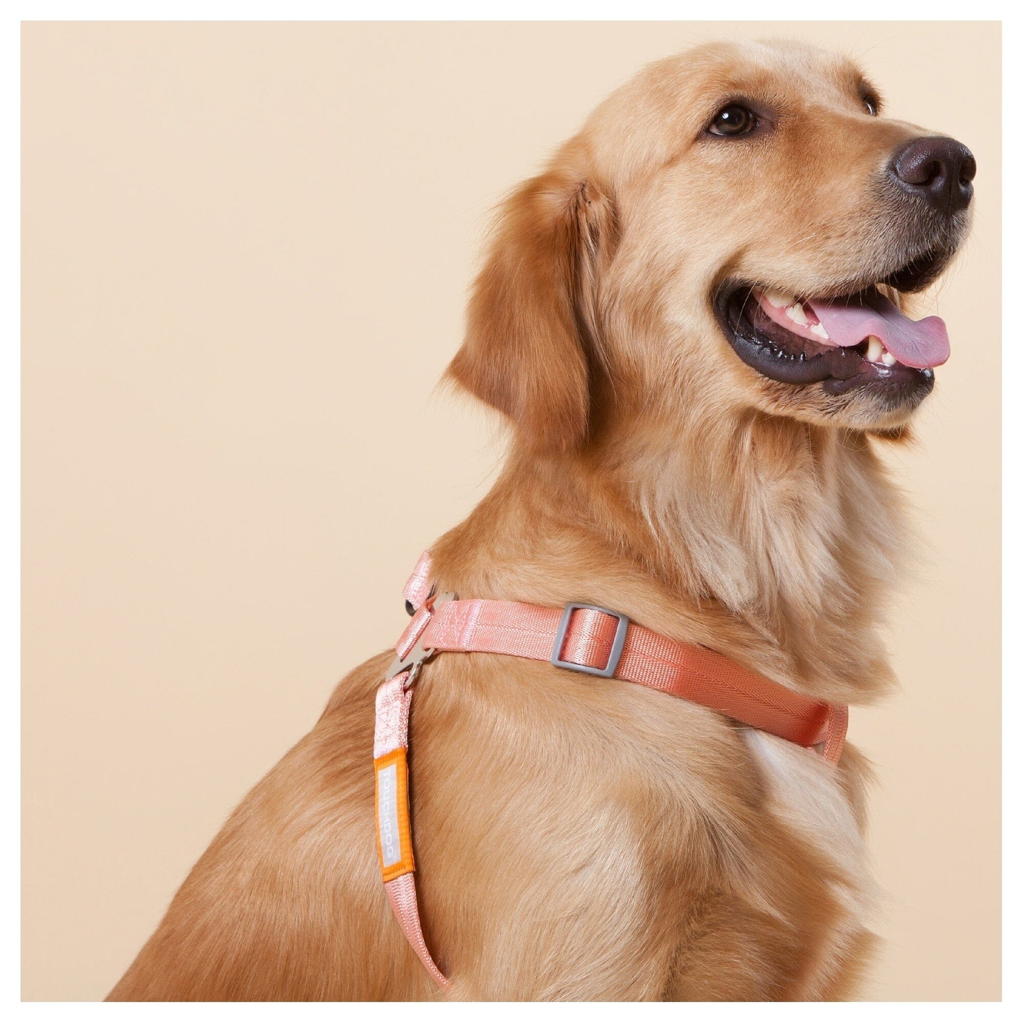 Touchdog ® 'Macaron' 2-in-1 Durable Nylon Dog Harness and Leash by Pet Life