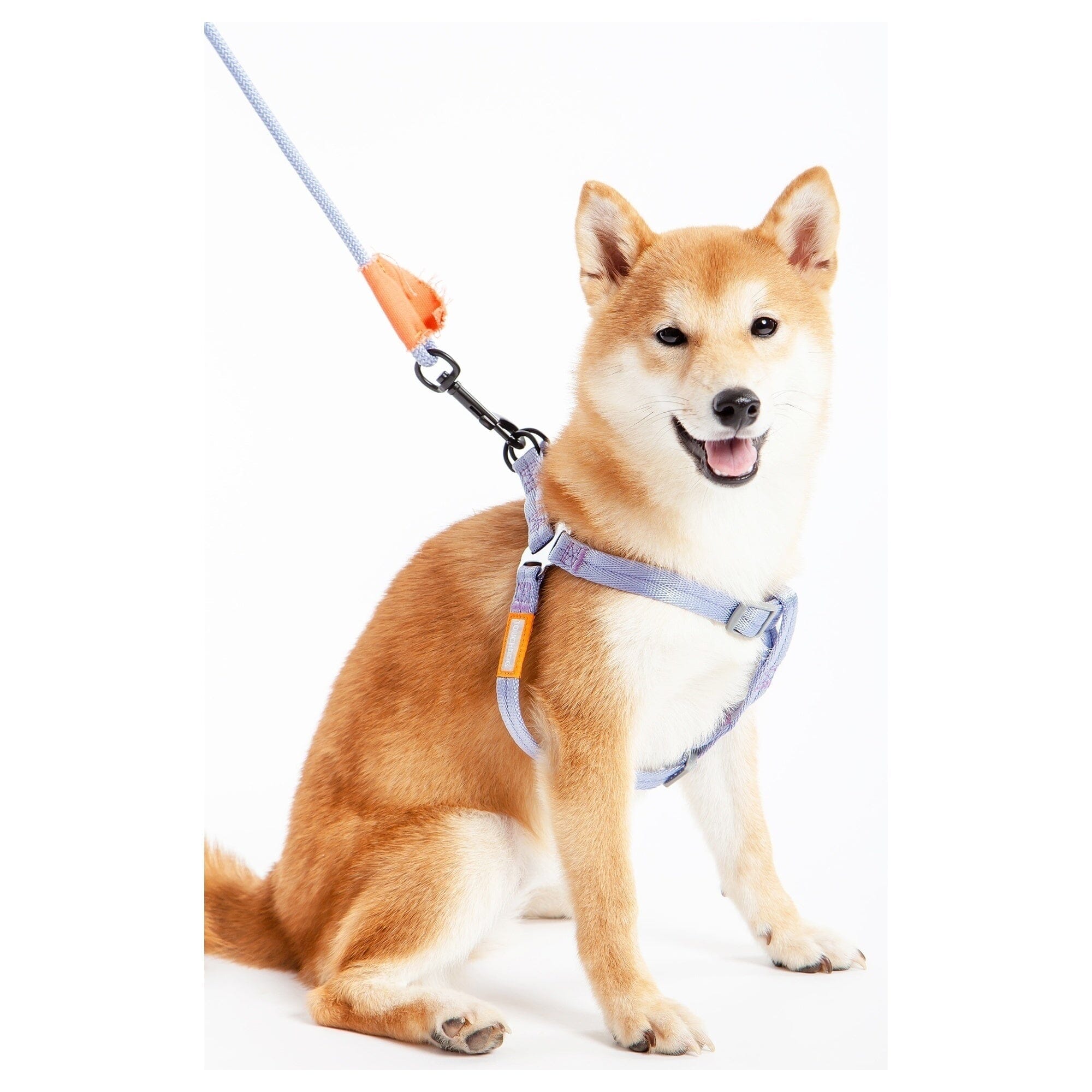 Touchdog ® 'Macaron' 2-in-1 Durable Nylon Dog Harness and Leash by Pet Life
