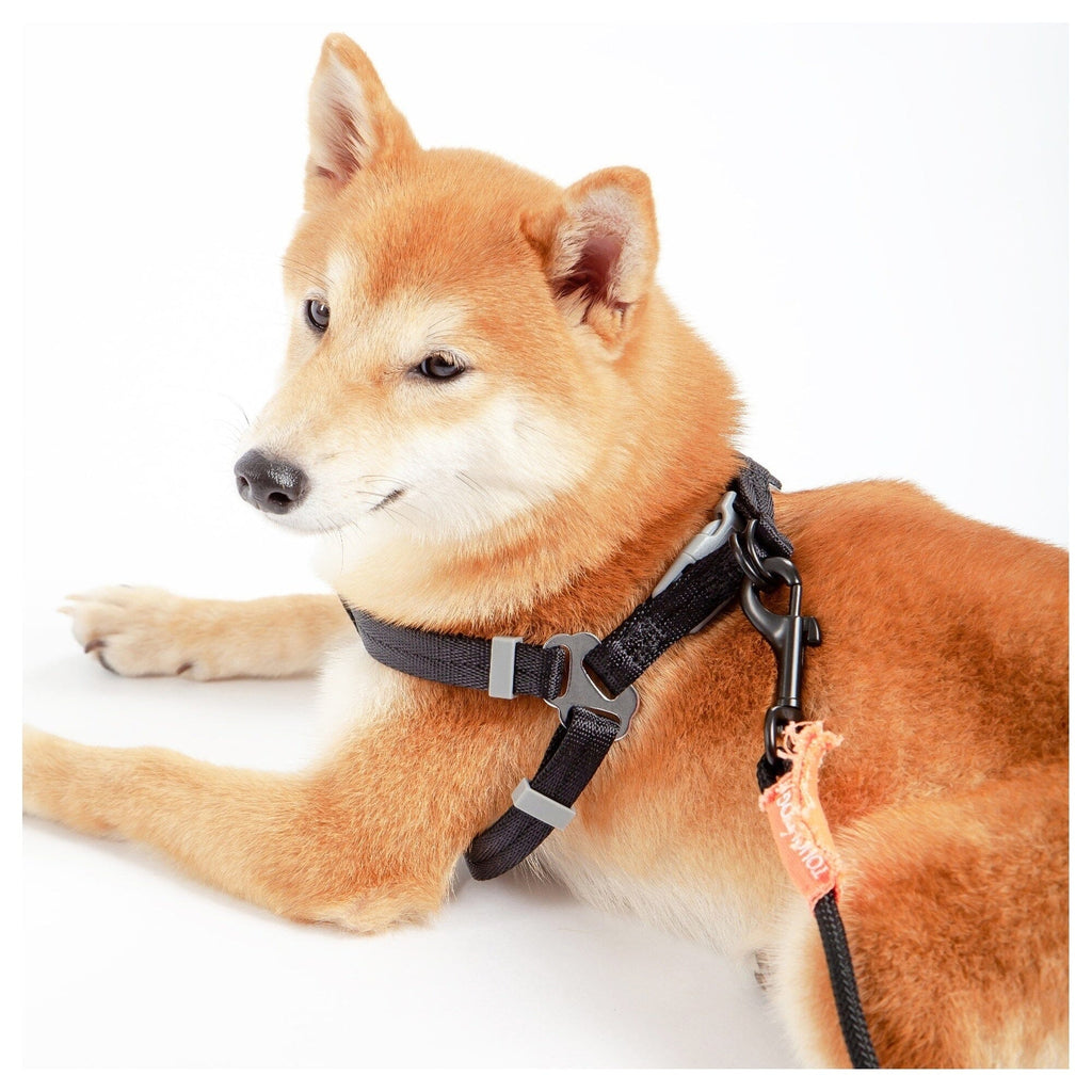 Touchdog ® 'Macaron' 2-in-1 Durable Nylon Dog Harness and Leash by Pet Life