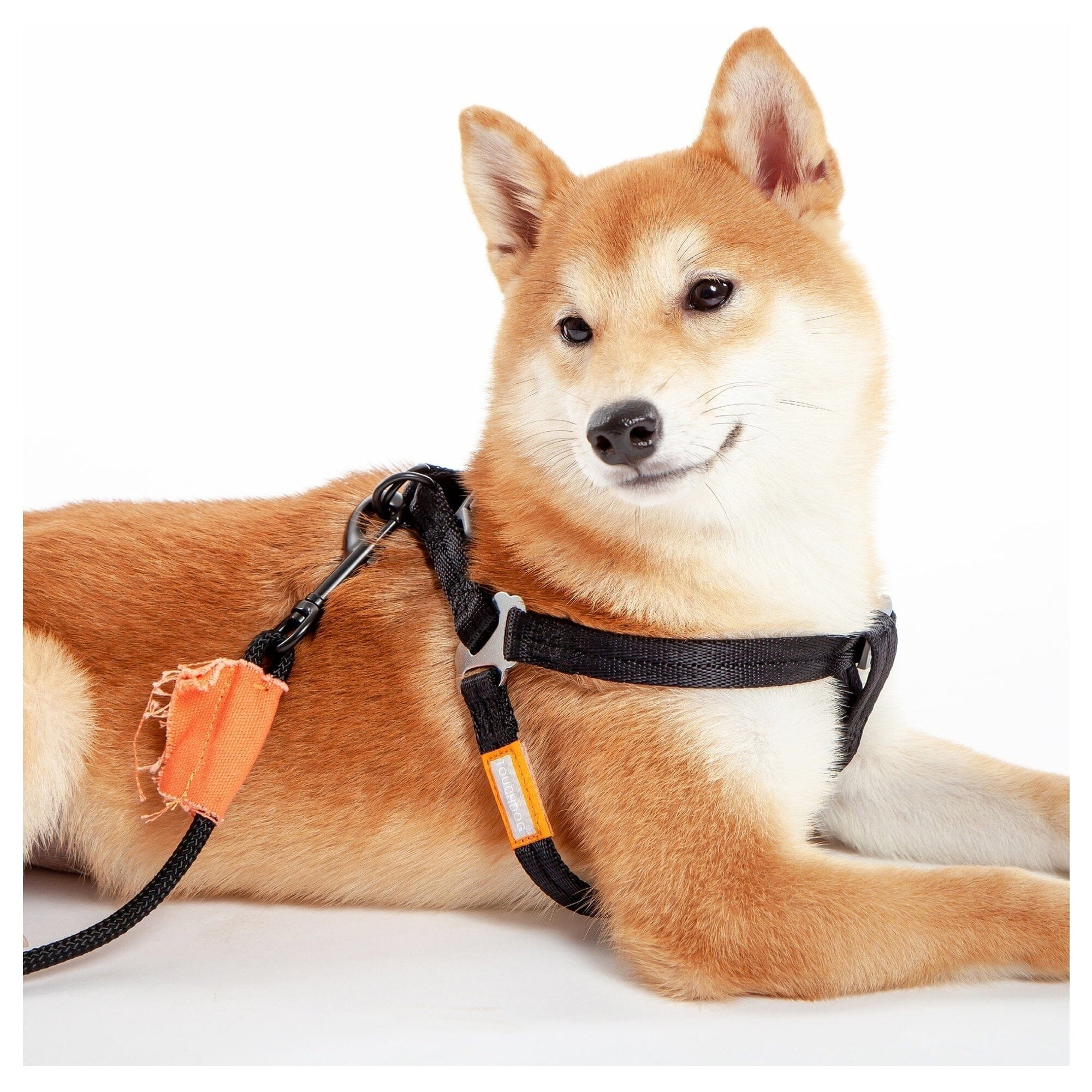 Touchdog ® 'Macaron' 2-in-1 Durable Nylon Dog Harness and Leash by Pet Life