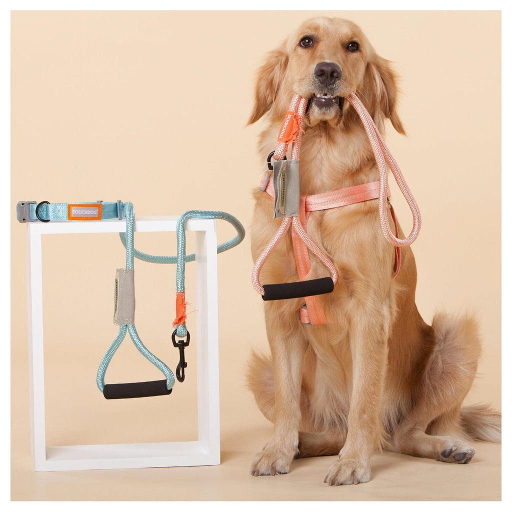 Touchdog ® 'Macaron' 2-in-1 Durable Nylon Dog Harness and Leash by Pet Life