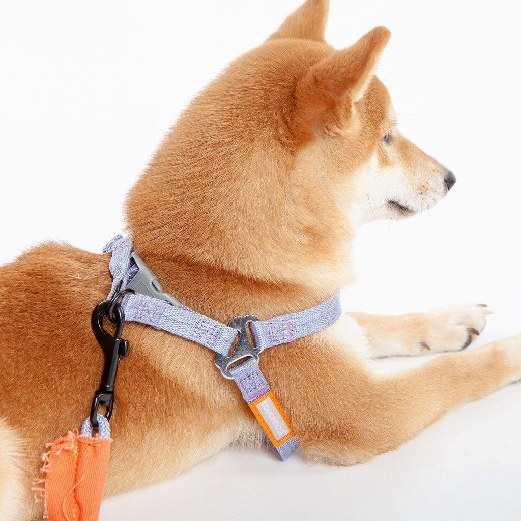 Touchdog ® 'Macaron' 2-in-1 Durable Nylon Dog Harness and Leash by Pet Life