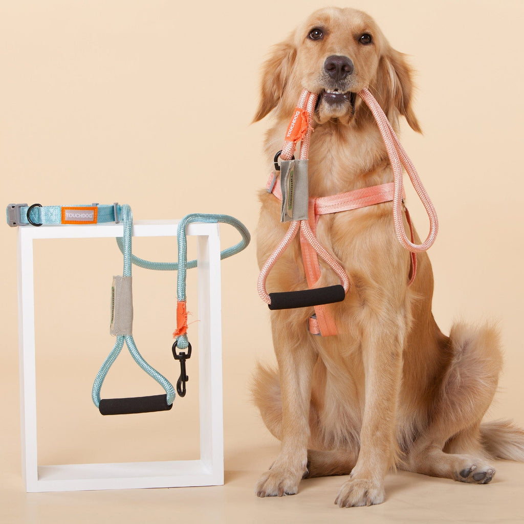 Touchdog ® 'Macaron' 2-in-1 Durable Nylon Dog Harness and Leash by Pet Life