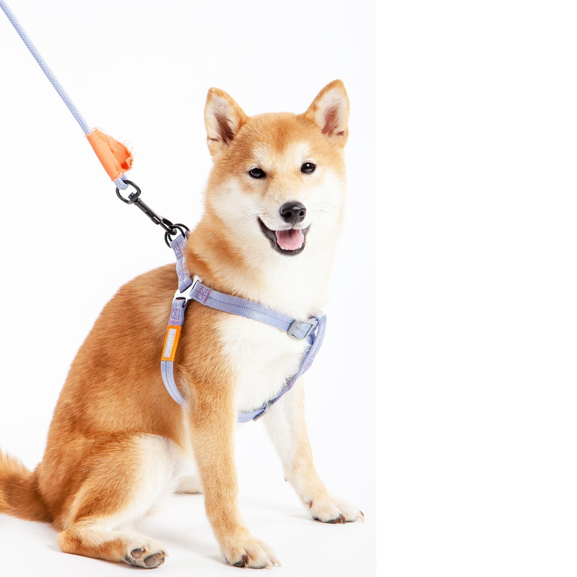Touchdog ® 'Macaron' 2-in-1 Durable Nylon Dog Harness and Leash by Pet Life