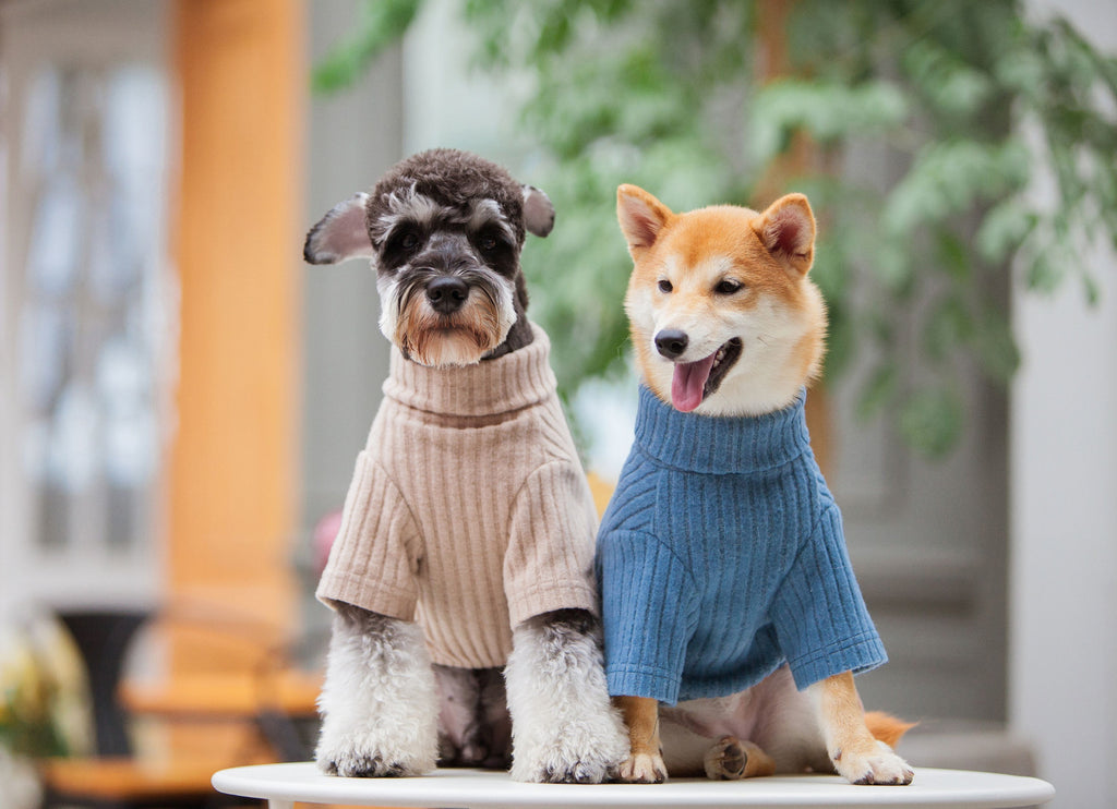 Touchdog ® 'Modress' Fashion Designer Dog Sweater and Dress by Pet Life