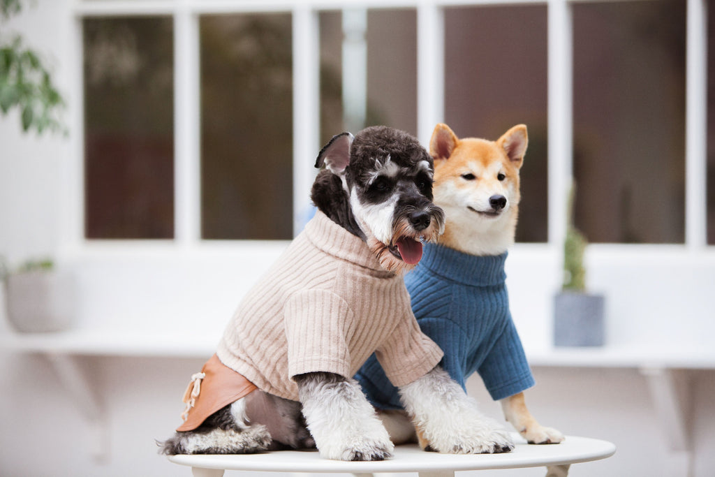 Touchdog ® 'Modress' Fashion Designer Dog Sweater and Dress by Pet Life