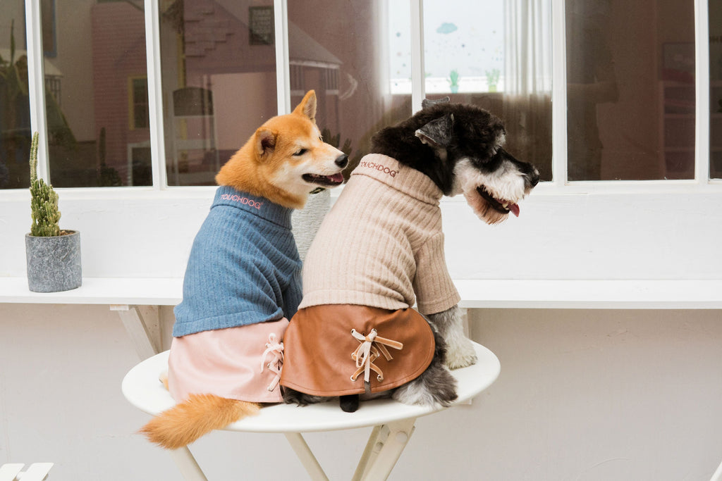 Touchdog ® 'Modress' Fashion Designer Dog Sweater and Dress by Pet Life
