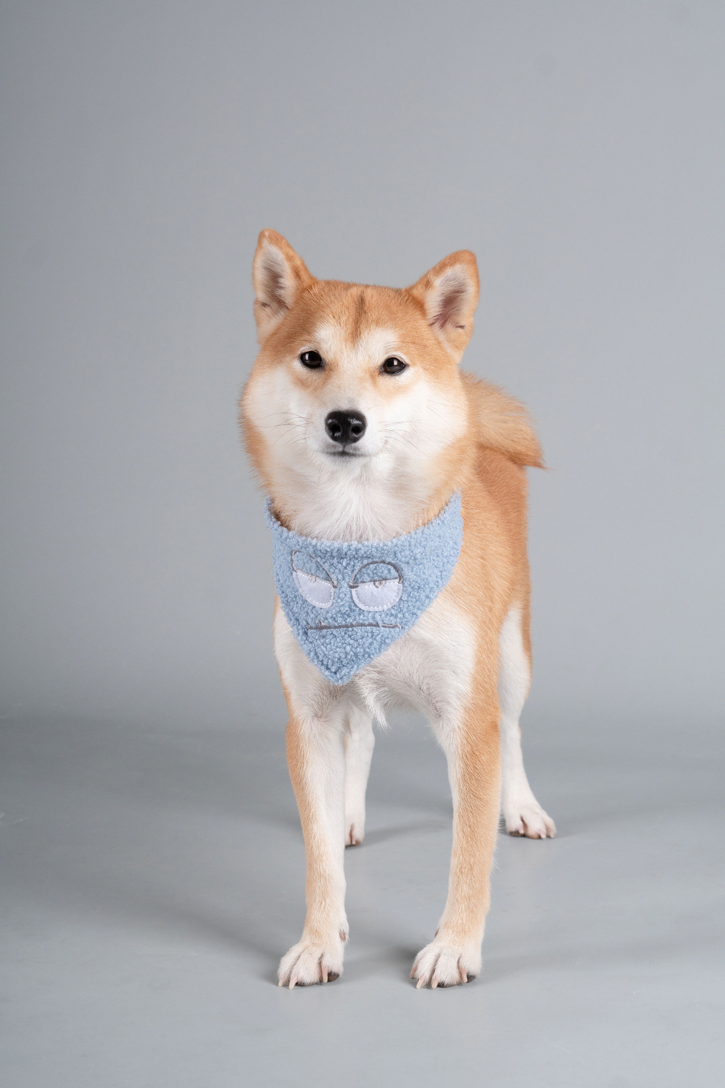 Touchdog ®'Dizzy-Eyed Cyclops' Cotton Hook-and-Loop Dog Bandana and Scarf by Pet Life