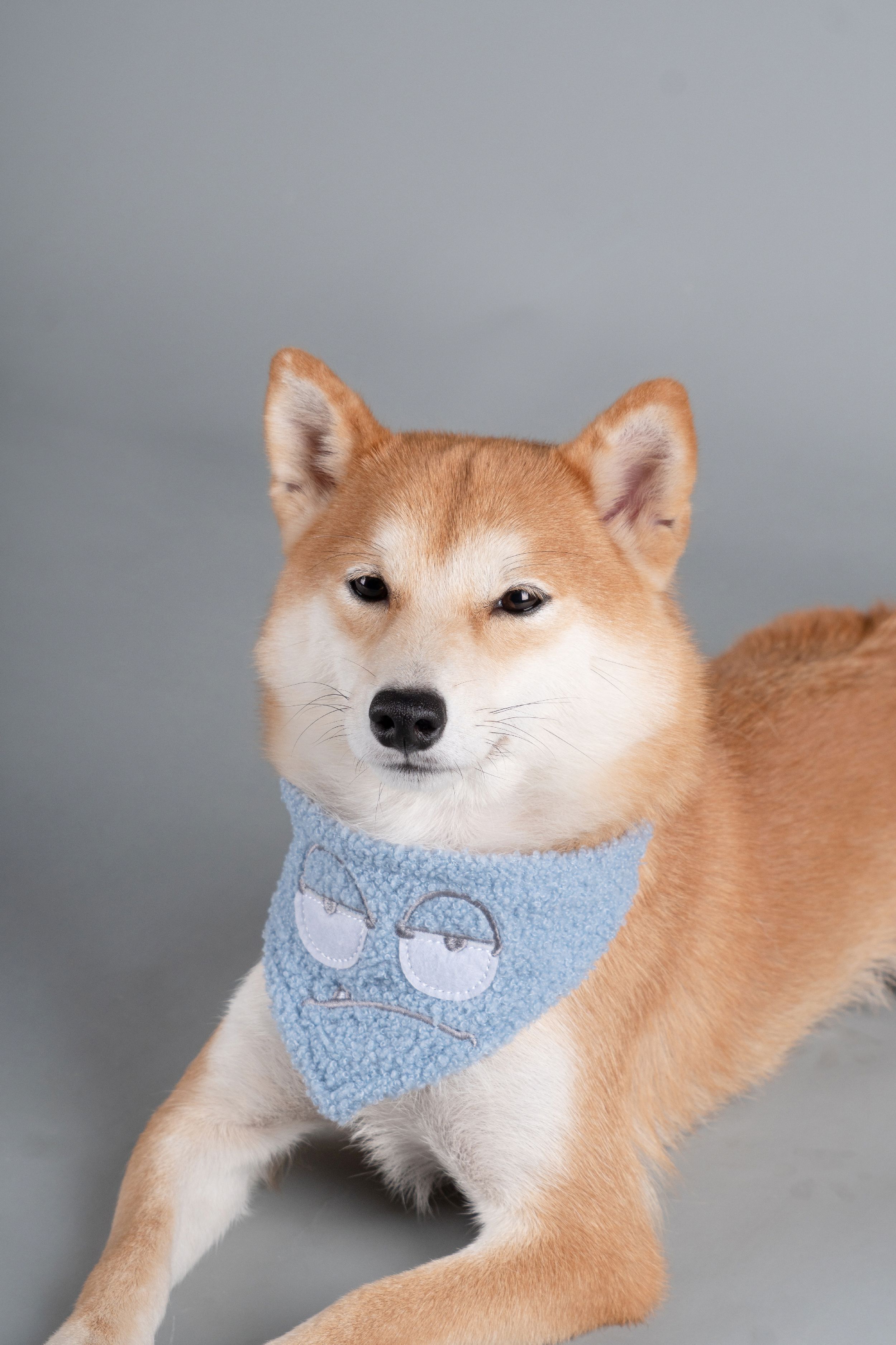 Touchdog ®'Dizzy-Eyed Cyclops' Cotton Hook-and-Loop Dog Bandana and Scarf by Pet Life