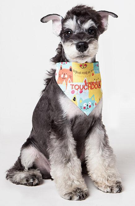 Touchdog ®'Head-Popper' Fashion Designer Printed Hook-and-Loop Dog Bandana by Pet Life