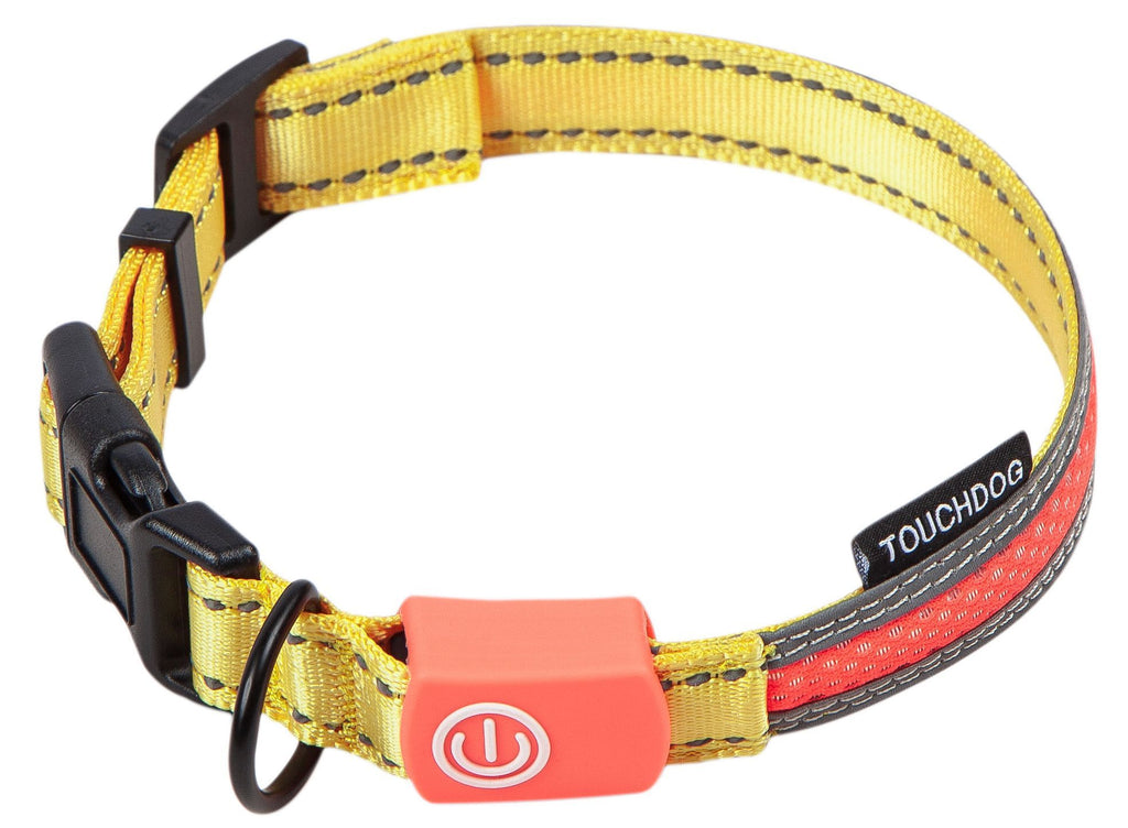 Touchdog ®'Lumiglow' 2-in-1 USB Charging LED Lighting Water-Resistant Dog Leash and Collar by Pet Life