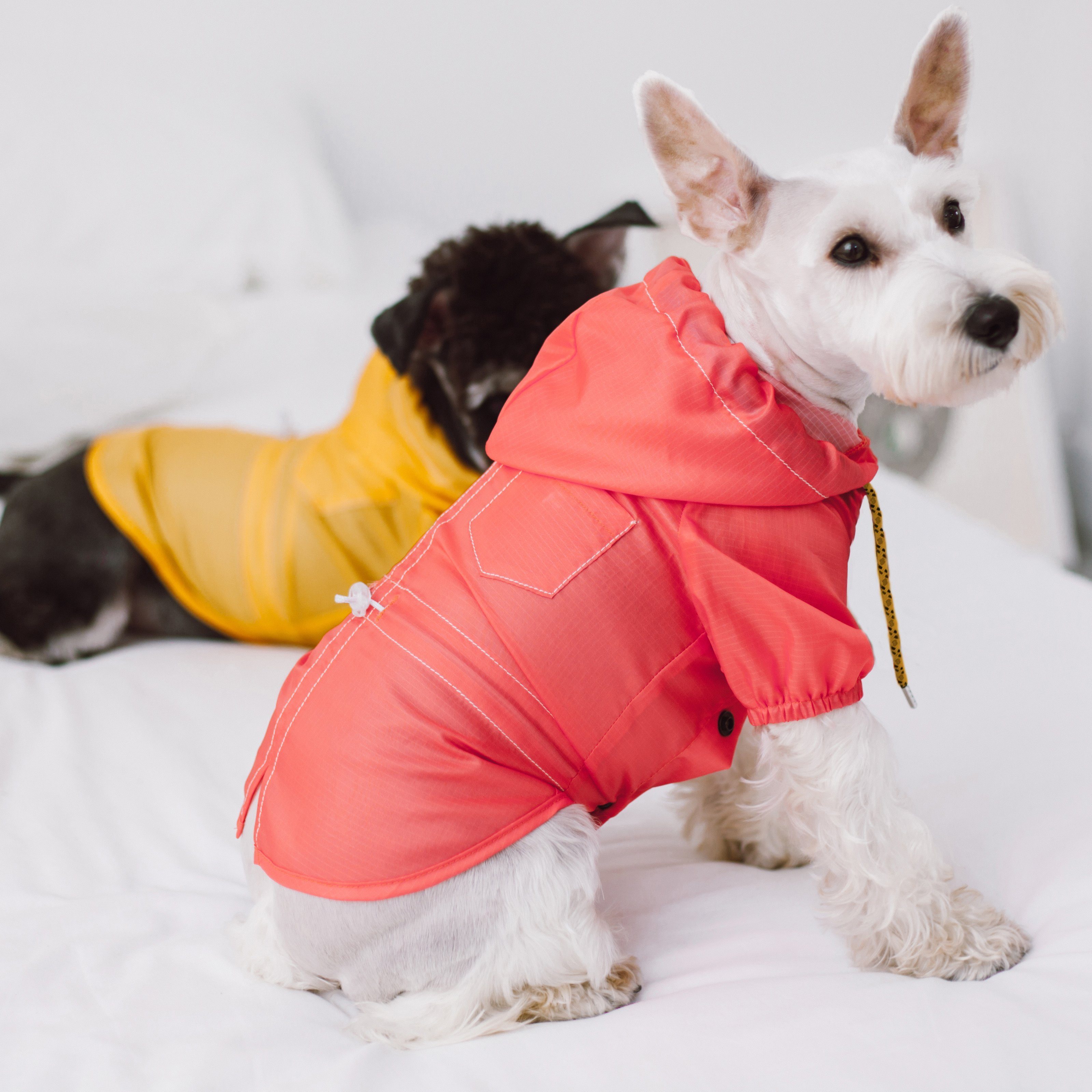 Touchdog Split-Vent Designer Waterproof Dog Raincoat by Pet Life
